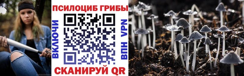 Псилоцибиновые грибы Cubensis  закладки  Торопец 